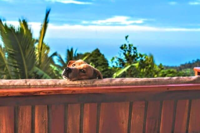 Camiguin Volcano Houses-Panoramic House Mambajao Exterior foto